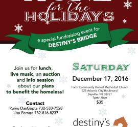 destinysbridge_fundraiser_2016_updated